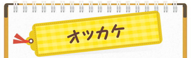 オッカケ